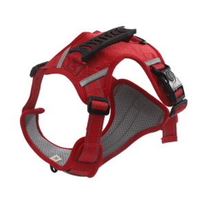 Luxury Solid Pattern PET Dog Vest Harness Medium Size Breathable Reflective Mesh Step No Pull Dog Leash Set for Cats